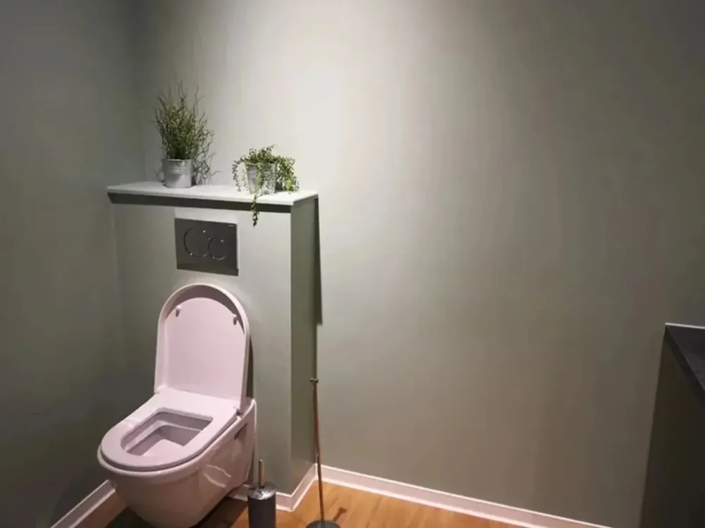 peinture_interieure_toilettes_wc_vert_clair