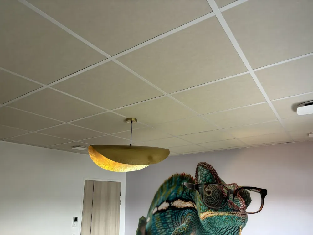 faux plafond (5)
