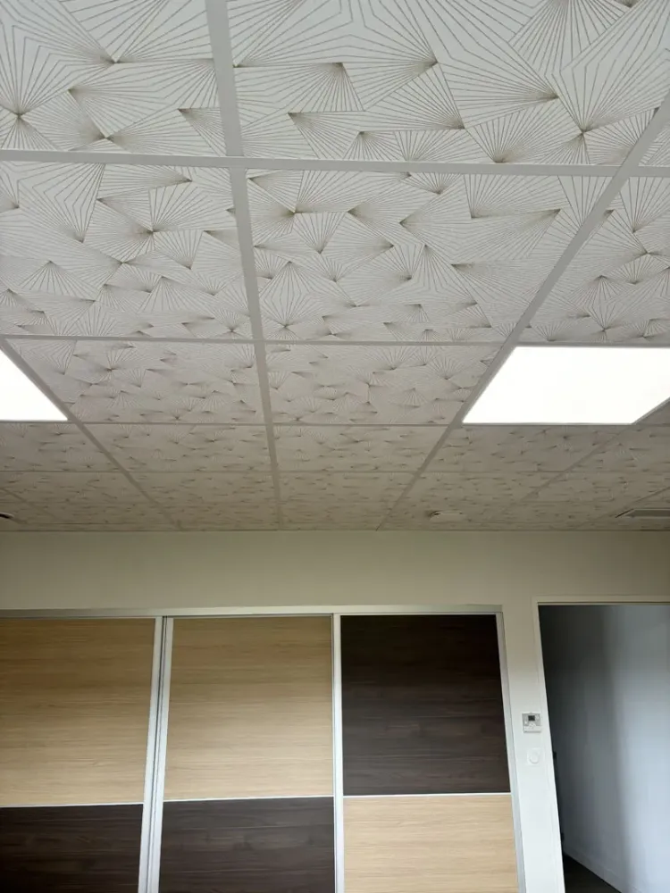 faux plafond (6)