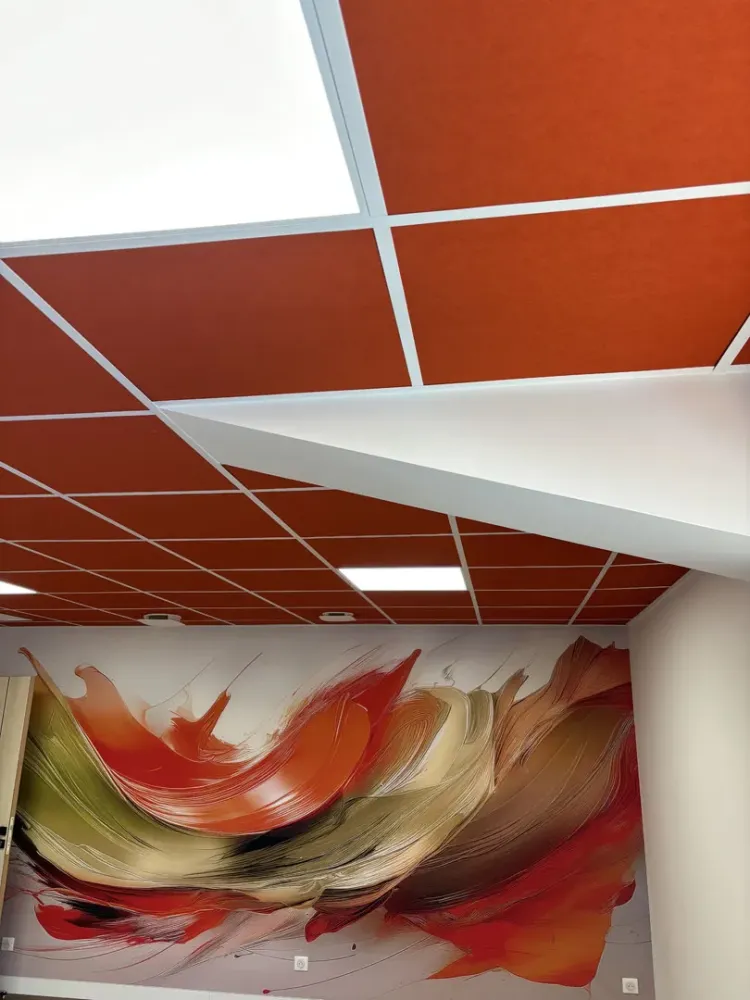 faux plafond (7)
