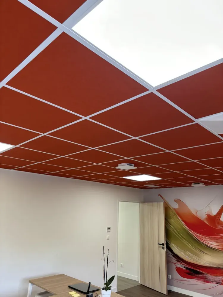faux plafond (8)
