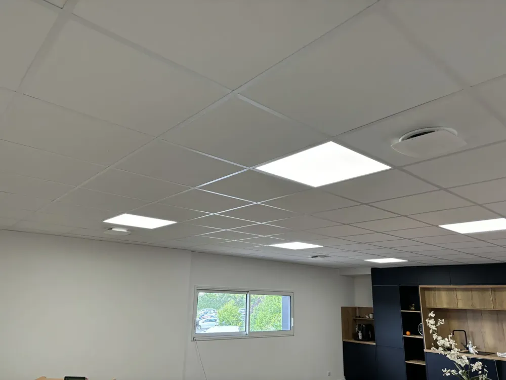 faux plafond (2)