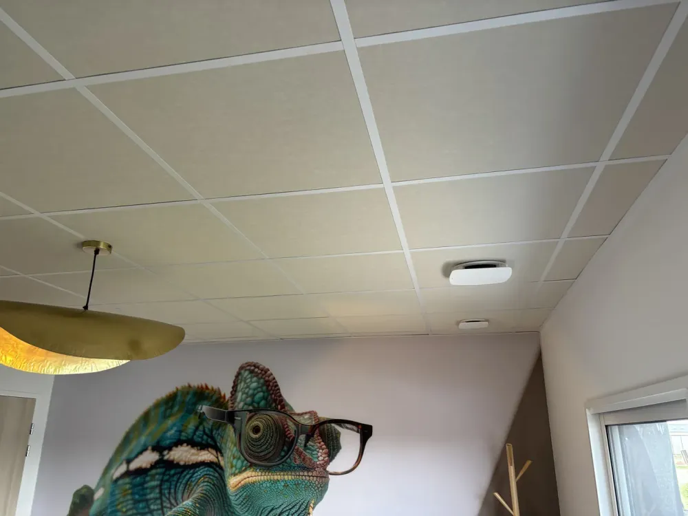 faux plafond (4)